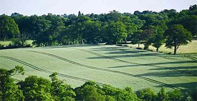 Figure 8.7 Greenbelt