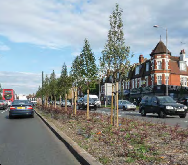 Landscape improvements