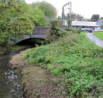 Turkey Brook is an important feature within the area and there