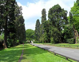 image 1b