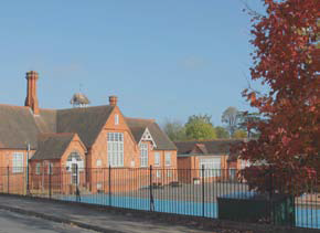 image 15