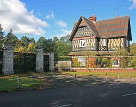 image 3b